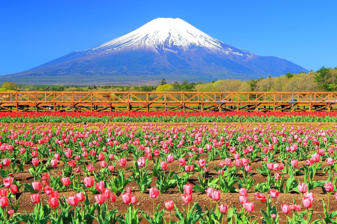 Hatago Sakuraya Yamanakako Esterno foto